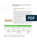 Betaoxidacion de Acidos Grasos - Biosistentesis de Acidos Grasos-Cetogenesis-Sintesis y Trigliceridos y Colesterol