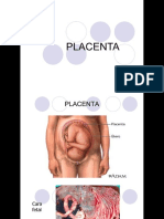 Placenta Docente