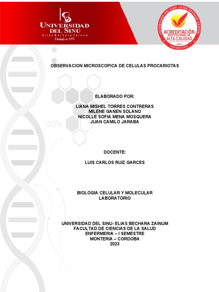 Lab 5 Celula Procariota | PDF | Bacterias Gram Positivas | Bacterias ...