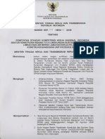 Skkni 2009-318 PDF