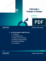 S7-LyTE - InteligenciaEmocional