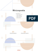 Rhizopoda Kel 3