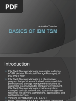 Ibmtsm 100325083335 Phpapp01