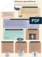 Infografía Dimorfismo Genético