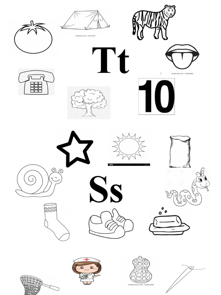 T N R S M Nursery PDF