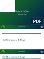 Aparato de Golgi