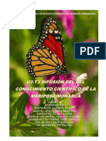 Mariposa Monarca Equipo 4