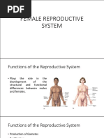 Female Reproductive System