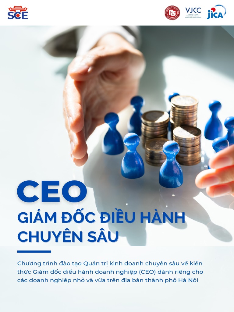 CEO GIÁM ĐỐC ĐIỀU HÀNH CHUYÊN SÂU | PDF