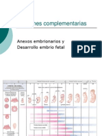 Imágenes Complementarias DESARROLLO EMBRIO FETALmodif