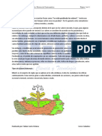 Crisis de Valores Ideológicos Ambientales y Eticos