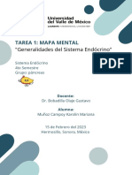 TAREA 1 MAPA MENTAL Generalidades Del Sistema Endócrino