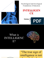 DelRosarioMM Intelligence
