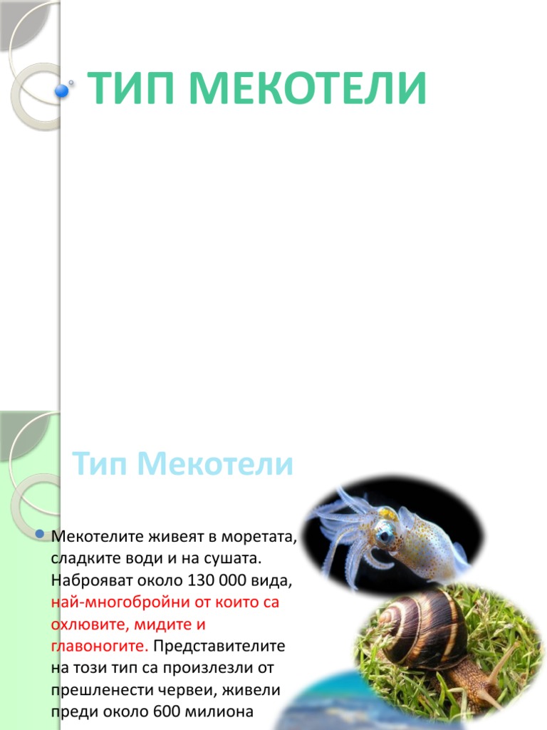 Mekoteli | PDF