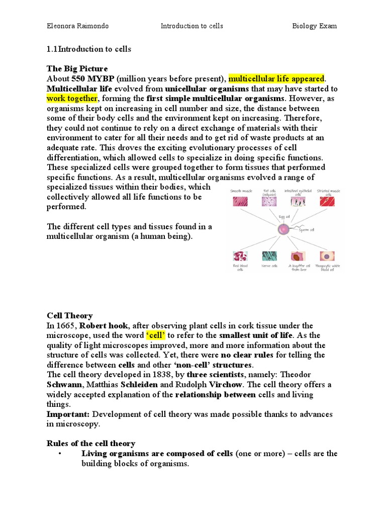 Introduction to Cell Biology | PDF | Stem Cell | Cell Potency