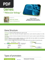 Molecular Biology (Genes and Mutations)