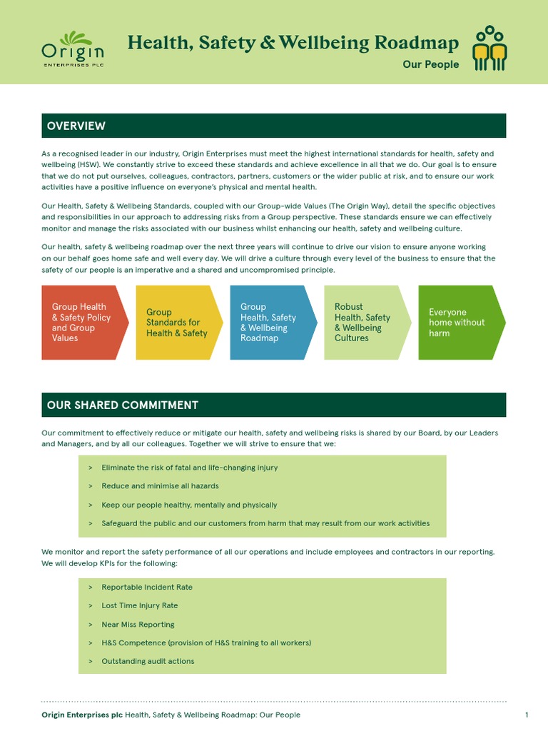 HSW Roadmap 2021-2024 Overview | PDF | Safety | Risk