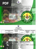 STE Program Implementation Guidelines | PDF | Curriculum | Secondary School