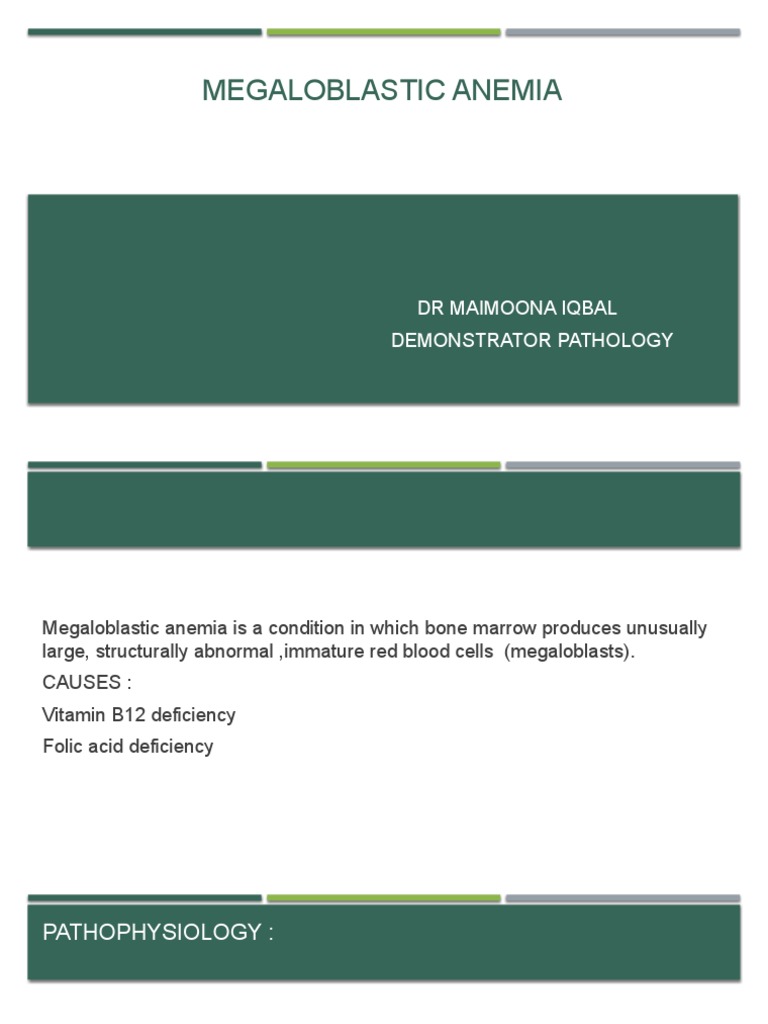 Megaloblastic Anemia Mayo Clinic – UMRQGO