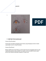 Tugas Geografi 24022022 X IPS 2