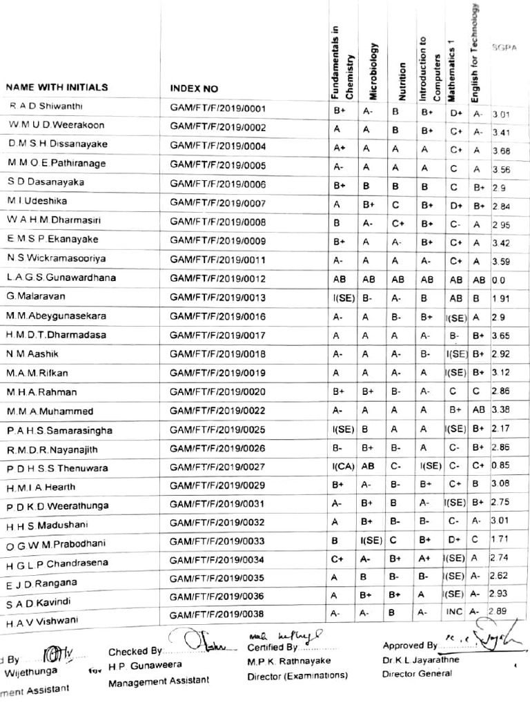 First Year 1st Sem | PDF