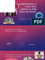 Lesiones de La Columna Cervical Por Traumatismo