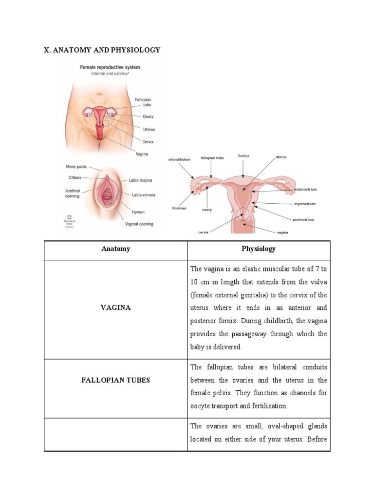 Vagina visual data 8
