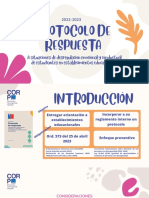 Protocolo de Resp Desregulación Emocional y Conductual 31-07-2023