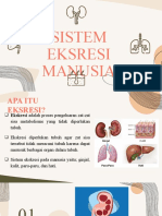 Sistem Eksresi Manusia - Ginjal