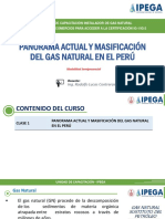 IPEGA.- Panorama actual y masificación del GN en el Perú