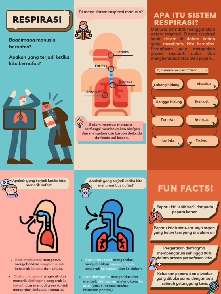 Science Brochure | PDF