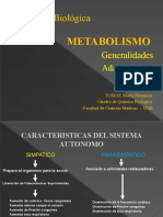 2021 Metabolismo Parte I Generalidades Adaptaciones