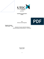 PC2 - Plantilla de Informe de Investigación