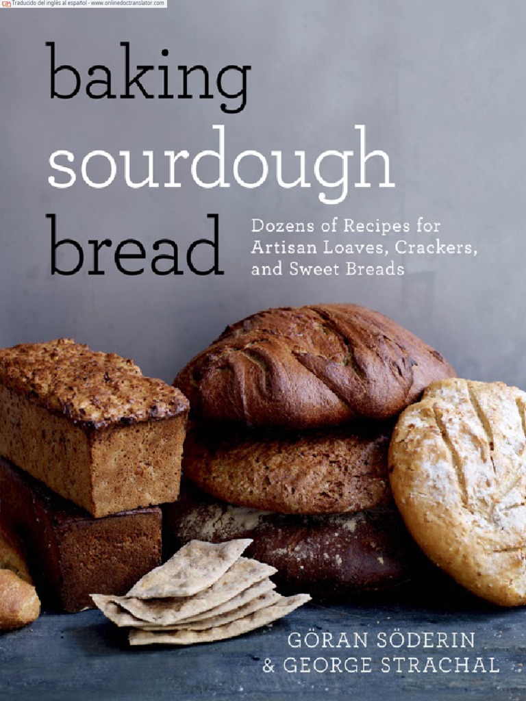 Sourdough visual data 7