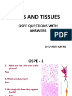 1.1 OSPE - Cells and Tissues