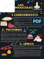 Infografía Biomoleculas-Equipo 5 