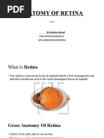 Fundus Drawing Techniques and Guidelines | PDF | Retina | Human Eye