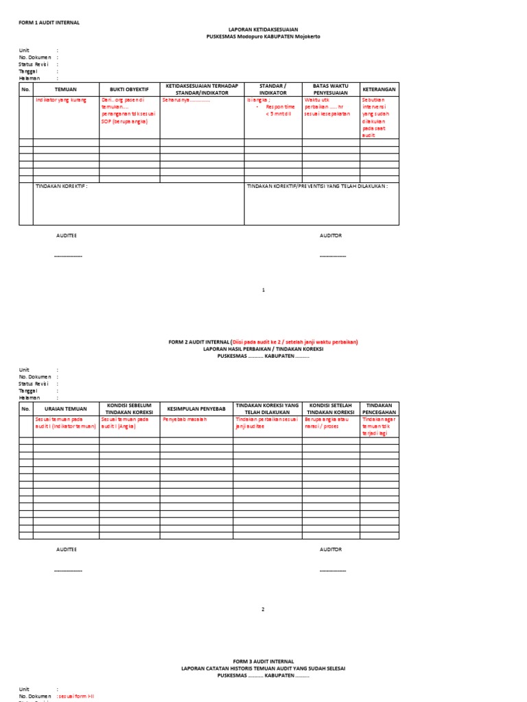 Formulir Audit Internal Puskesmas | PDF