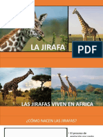 La Jirafa