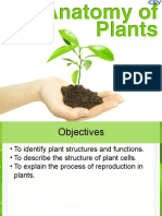 PowerPoint - Anatomy of Plants