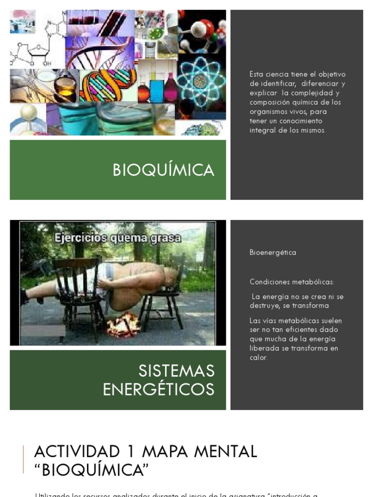 Introduccion A La Biquimica (1) (Autoguardado) (Autoguardado ...