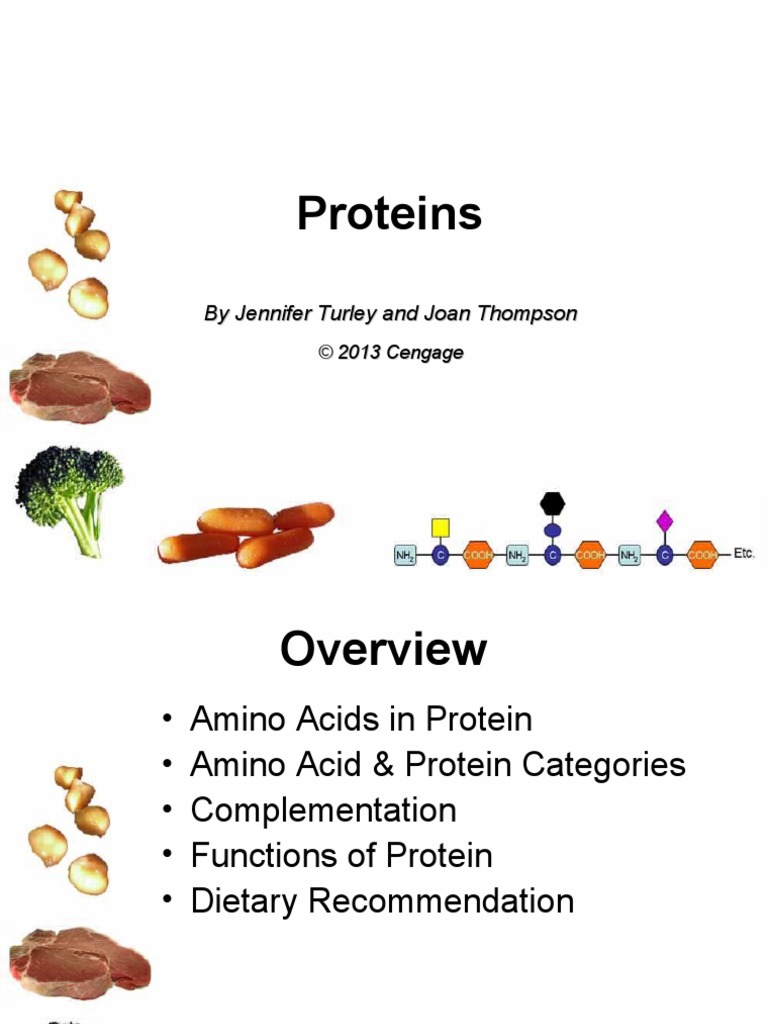 Understanding Protein and Amino Acids | PDF | Amino Acid | Molecular ...