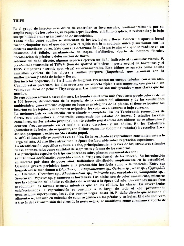 Libro Inta 2 | PDF