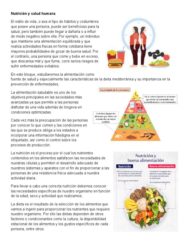 Nutrición y Salud en la Infancia | PDF | Dieta | Alimentos