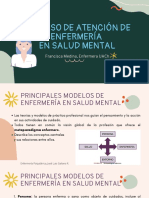 Proceso de Atención de Enfermería en Salud Mental