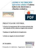 Resultados de Respiración Celular