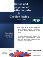 Initiation and Propagation of Cardiac Impulse