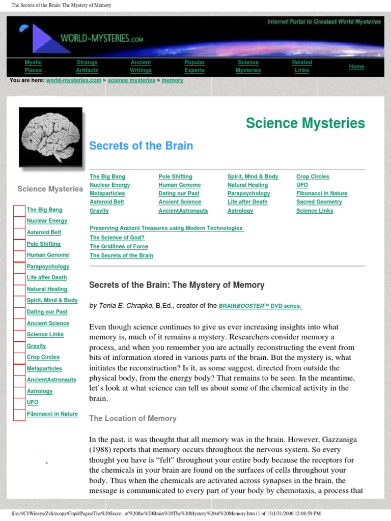 Your Brain S Secret Editor The Science Of Memory Manipulation - t1118ko