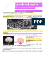 5 Desenvolvimento Embrionário 3 Semana Até Organogênese Rudimentar