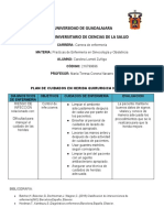 Plan de Cuidado de Herida Quirurgica Infectada